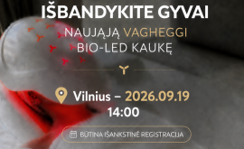 file_00000000146c822f9fe245d66864a17c IŠBANDYK VAGHEGGI KOSMETOLOGINĘ ĮRANGĄ (Italy) BIO-LED KAUKĖ